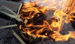 603ea_ash_wednesday_ashes_and_palm_branches_palm-fire