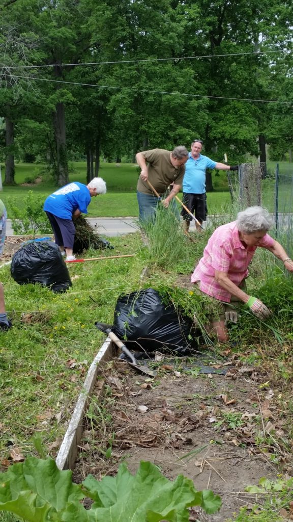 Cleaning Beds at Buley Center Gardens